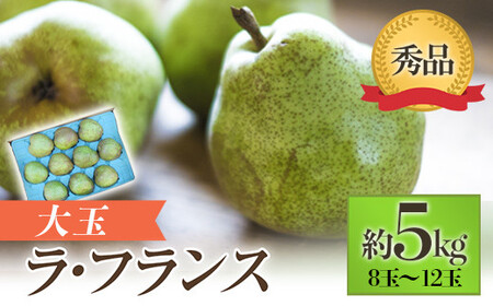 【令和8年産先行予約】 JA 大玉 ラ・フランス 約5kg ( 8～12玉 秀) 《令和8年11月上旬～12月上旬発送》 『JA山形おきたま』 洋梨 果物 フルーツ 山形県 南陽市 [718-R8]
