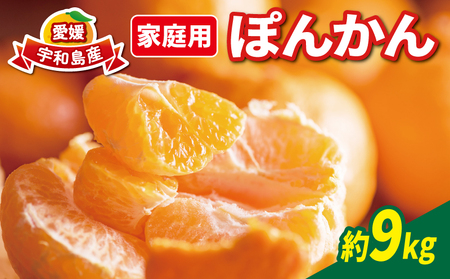  【宇和島産ポンカン】冬の柑橘 ポンカン 9kg 玉津柑橘 B010-072003