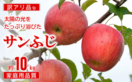 【令和8年産先行予約】 〈訳あり品 家庭用〉 JA りんご 「サンふじ」 約10kg (28～46玉) 《令和8年11月中旬～12月中旬発送》 『JA山形おきたま』 林檎 リンゴ 果物 フルーツ 山形県 南陽市 [1410-R8]