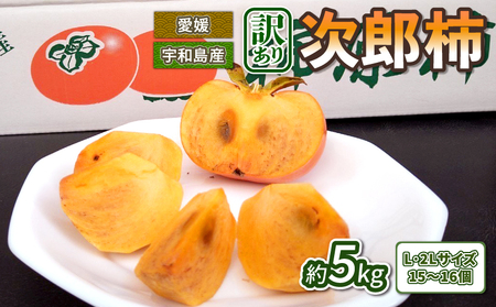 【2026年収穫分】 訳あり 柿 次郎柿 5kg 末光農園 F012-118001