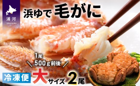 ＜冷凍＞漁協の浜ゆで毛がに 大サイズ2尾セット [02-778]