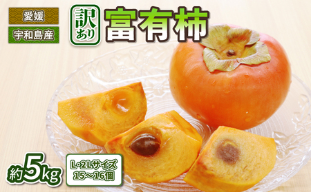 訳あり 柿 富有柿 15～16個 5kg L 2L ふゆう柿 末光農園 先行予約 不揃い kaki かき ふゆうがき カキ フルーツ 訳アリ 訳あり品 訳有り わけあり 果物 くだもの 産地直送 農家直送 数量限定 国産 愛媛 愛媛県産 宇和島 F012-118002