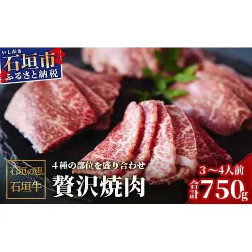 石垣の恵 石垣牛 贅沢焼肉(4種盛)【合計750g】　KB-100