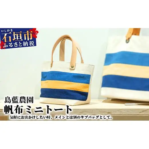 【石垣島の藍染工房】バッグ 帆布 ミニトート KB-172-1