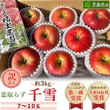 「葉取らず千雪」約3kg・訳あり家庭用りんご_果物・フルーツ りんご  リンゴ 林檎_【配送不可地域：離島・沖縄県】【1377377】