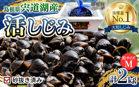 しじみ 新鮮採れたて！宍道湖産活大和しじみ(M)2kg(砂はき済み) 島根県松江市/平野缶詰有限会社[ALBZ015]