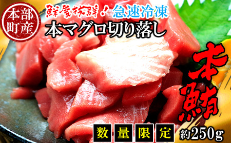 【数量限定】本マグロ切り落し 本部町産 約250g マグロ