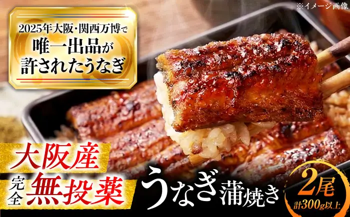 鰻 鰻の蒲焼き2尾セット BLAL001