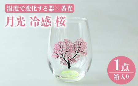 温度で変化する器 × 蓄光『月光 冷感 桜』【丸モ高木陶器】 [TBA151]