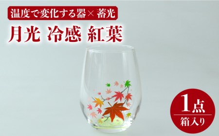温度で変化する器 × 蓄光『月光 冷感 紅葉』【丸モ高木陶器】 [TBA153]