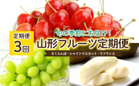 【定期便3回】山形のフルーツ定期便(さくらんぼ・シャインマスカット・ラフランス) 【令和8年産先行予約】FS25-636 くだもの 果物 フルーツ 山形 山形県 山形市 2026年産
