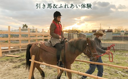 引き馬＆ふれあい体験 体験チケット 日本在来馬 和種馬 ブラッシング 手入れ ふれ合い ホースセラピー 動物 