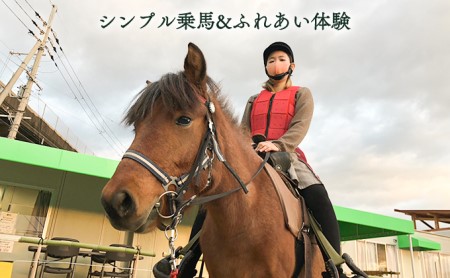 シンプル乗馬＆ふれあい体験 体験チケット 日本在来馬 和種馬 ブラッシング 手入れ ふれ合い ホースセラピー 動物 