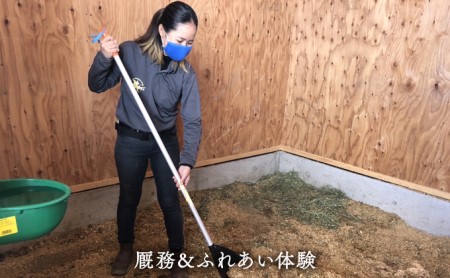 厩務＆ふれあい体験 体験チケット 日本在来馬 和種馬 