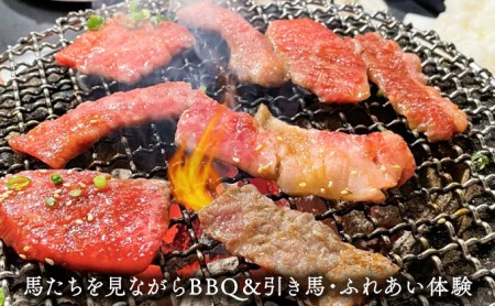 馬たちを見ながらBBQ 体験チケット 食事 動物 日本在来馬 和種馬 ドリンク付き のんびり 癒し 