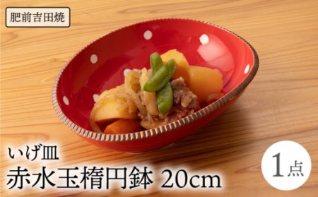いげ皿楕円鉢赤水玉20cm1点 NAZ509 