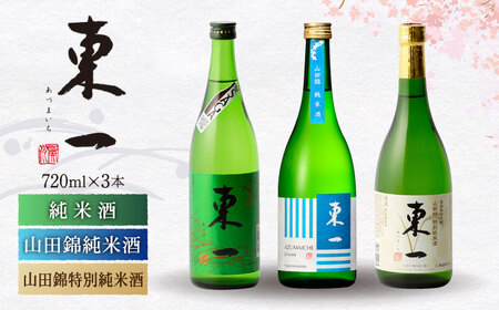 日本酒 東一 日本酒飲み比べ3種 NBQ004 