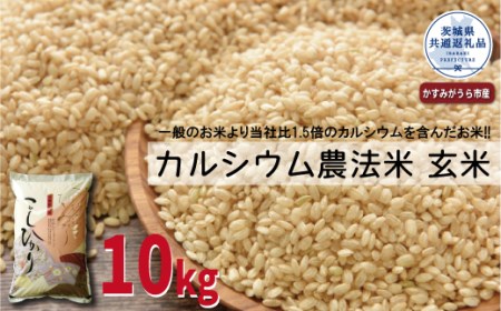 カルシウム農法米 玄米10kg 茨城県共通返礼品 かすみがうら市産 米 玄米 カルシウム米 10kg 茨城県産 共通返礼品 ごはん 粘り ツヤ カルシウム コメ お米 農法米 冷めてもおいしい