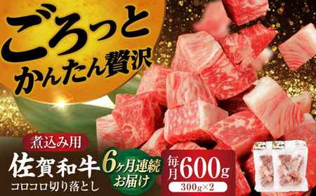 【定期便】 牛肉 牛肉切り落とし 600g NAC108 牛肉 全6回