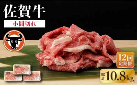 【定期便】 牛肉 牛肉切り落とし 900g NAC139 牛肉 全12回