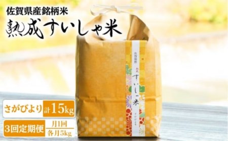 【定期便】 白米 令和7年産さがびより5kg NAO039 全3回 白米