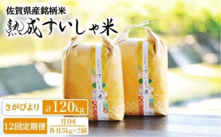 定期便 白米 令和7年産さがびより10kg NAO044 全12回 白米