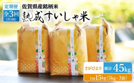 【定期便】 白米 令和7年産さがびより15kg NAO045 全3回 白米