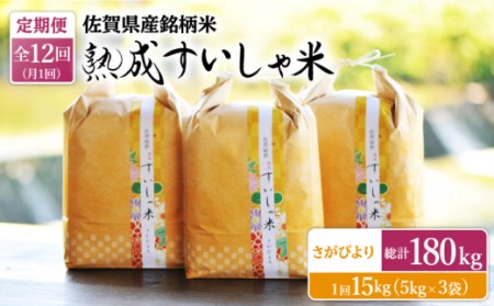 【定期便】 白米 令和7年産さがびより15kg NAO047 全12回 白米