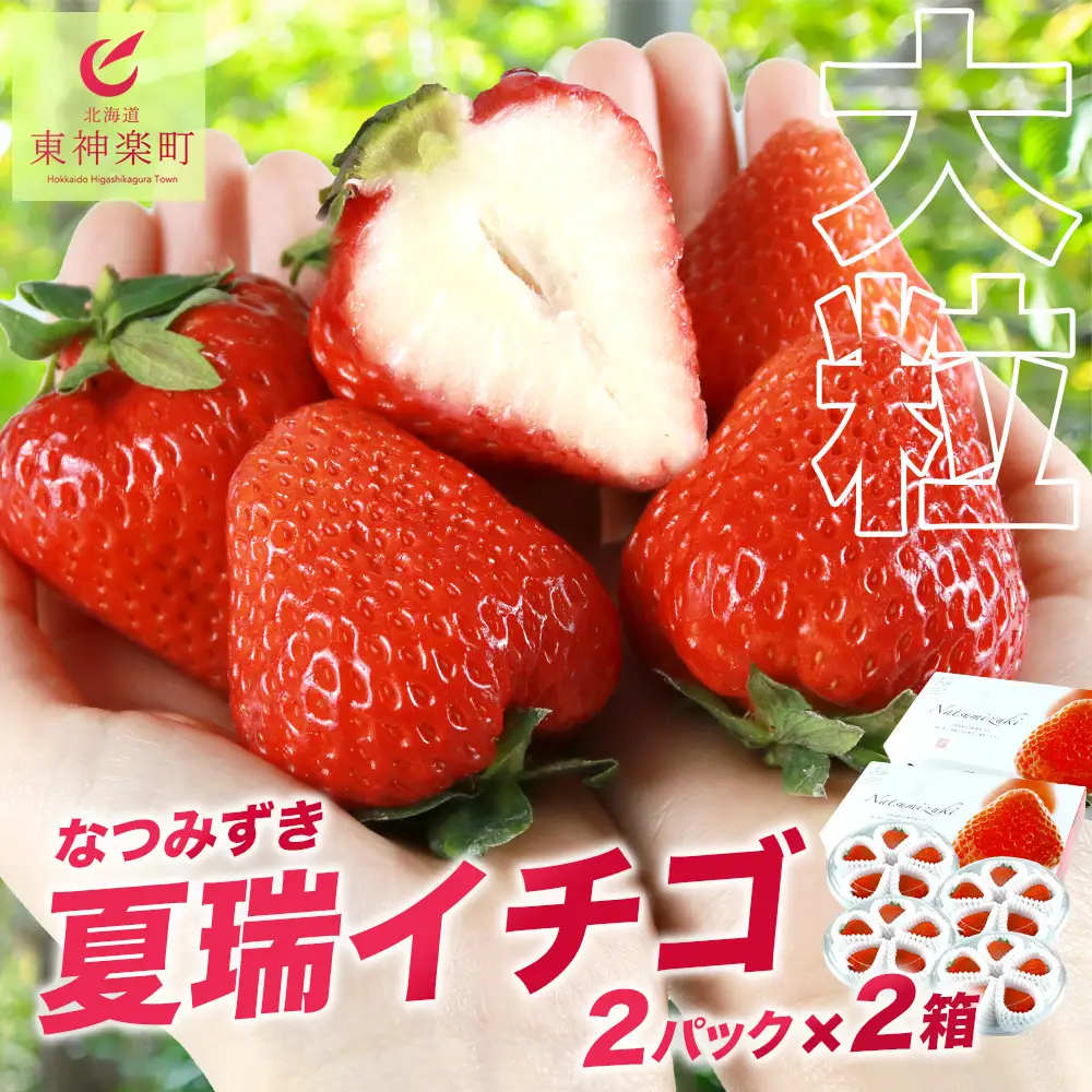 2026年産 先行予約【夏イチゴ】奇跡のひと粒「夏瑞」4パックセット
