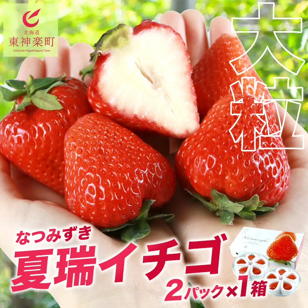 2026年発送☆【夏イチゴ】奇跡のひと粒「夏瑞」2パックセット
