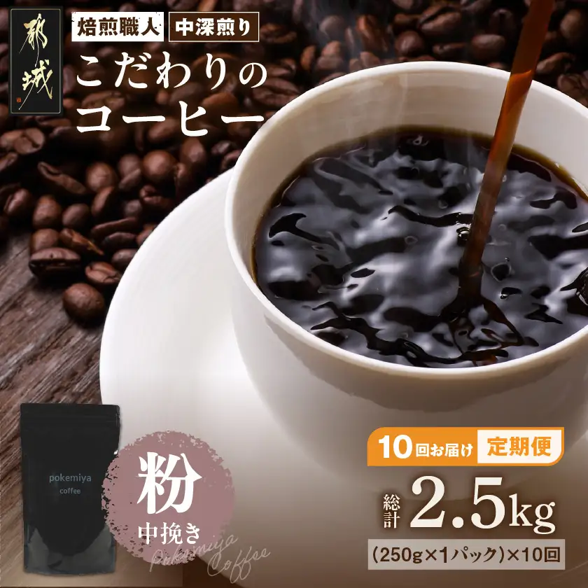 10回お届け!焙煎職人こだわりのコーヒー定期便【粉】250g 小分けパック(ジッパー・バルブ付) ※中深煎り※ポスト投函_TLA10-3301_(都城市) 毎月