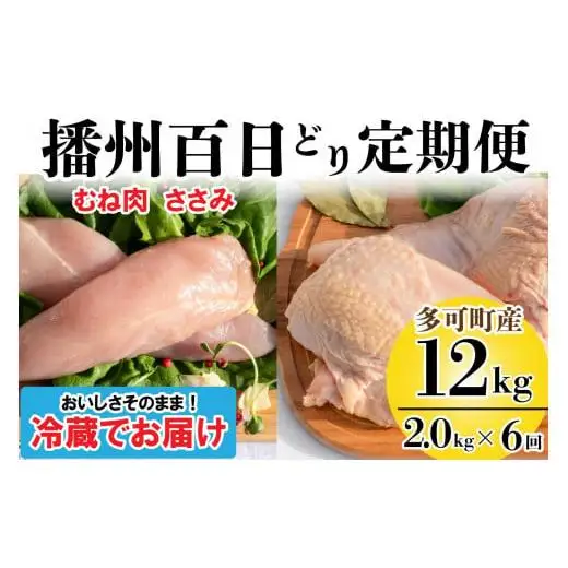 播州百日どり ヘルシーセット ６回 定期便 [837] 鶏肉 むね肉 ささみ 冷蔵