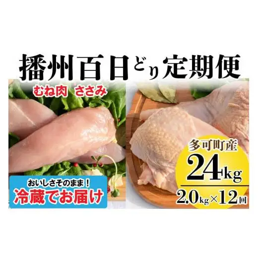 播州百日どり ヘルシーセット 12回 定期便 [838] 鶏肉 むね肉 ささみ 冷蔵