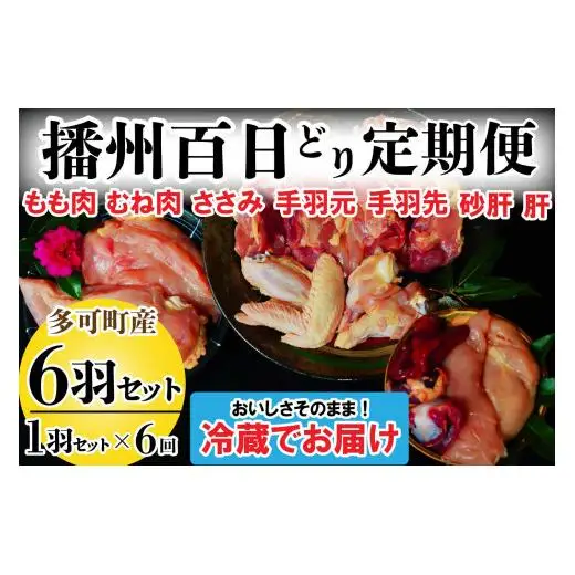 播州百日どり １羽 セット ６回 定期便 [839] 鶏肉 もも肉 むね肉 ささみ 手羽先 手羽元 肝 砂肝 冷蔵