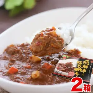 飛騨牛の極旨カレー　２食入り×２箱[B0056pi]
