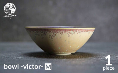 【美濃焼】bowl -victor- M【陶芸家・宮下将太】食器 鉢 ボウル 副菜鉢 サラダボウル デザートボウル シンプル おしゃれ 陶芸家 芸術 インテリア ギフト プレゼント 贈り物 レンジ対応 ベージュ アイボリー エクリュ 送料無料[MDL030]