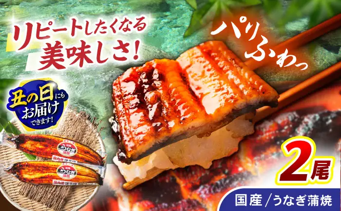 【お中元対応可】＜諫早淡水＞うなぎ蒲焼 2尾 / うなぎ ウナギ 鰻 蒲焼き 蒲焼 かばやき ひつまぶし うな重 うな丼 冷凍 / 諫早市 / 諫早淡水株式会社 [AHAT004] 丑の日 土用丑の日