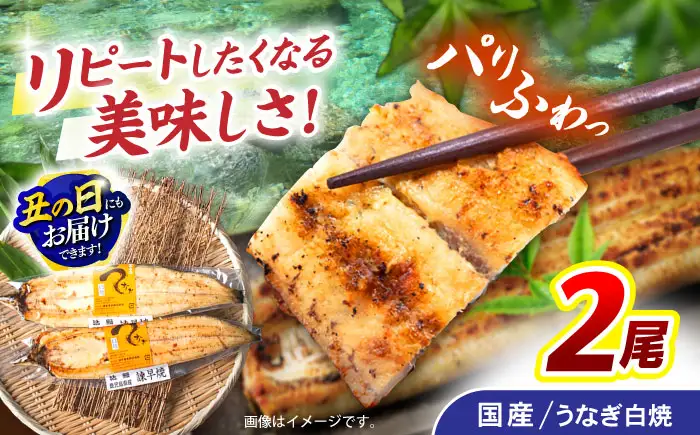 【お中元対応可】＜諫早淡水＞うなぎ白焼き 2尾 / うなぎ ウナギ 鰻 白焼き 白焼 国産 冷凍 小分け / 諫早市 / 諫早淡水株式会社 [AHAT011] 丑の日 土用丑の日