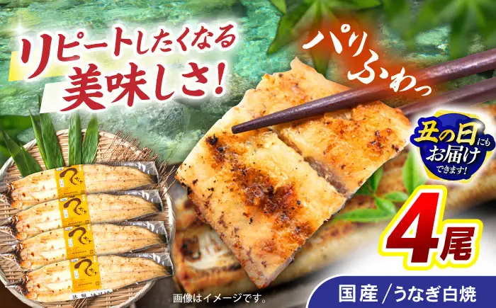 ＜諫早淡水＞うなぎ白焼き 4尾 / うなぎ ウナギ 鰻 白焼き 白焼 しらやき 冷凍 国産 小分け / 諫早市 / 諫早淡水株式会社 [AHAT012] 丑の日 土用丑の日