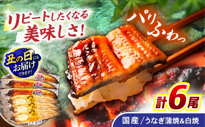 ＜諫早淡水＞うなぎ蒲焼3尾＆白焼き3尾セット / うなぎ ウナギ 鰻 蒲焼き 蒲焼 白焼き 白焼 国産 冷凍 小分け うな重 うな丼 ひつまぶし / 諫早市 / 諫早淡水株式会社 [AHAT006] 丑の日 土用丑の日
