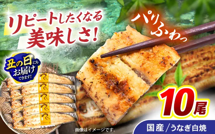 ＜諫早淡水＞うなぎ白焼き 10尾 / うなぎ ウナギ 鰻 白焼き 白焼 しらやき 国産 冷凍 小分け / 諫早市 / 諫早淡水株式会社 [AHAT010] 丑の日 土用丑の日