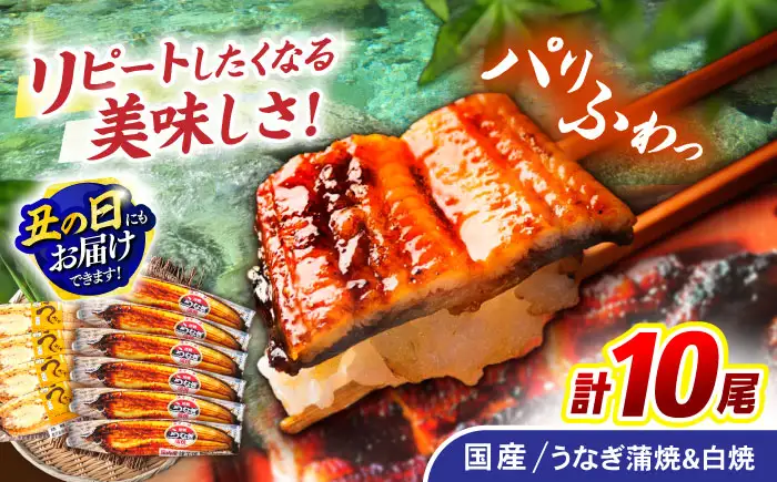 ＜諫早淡水＞うなぎ蒲焼6尾＆白焼き4尾セット / うなぎ ウナギ 鰻 蒲焼き 蒲焼 白焼き 白焼  国産 冷凍 小分け うな重 うな丼 ひつまぶし / 諫早市 / 諫早淡水株式会社 [AHAT009] 丑の日 土用丑の日