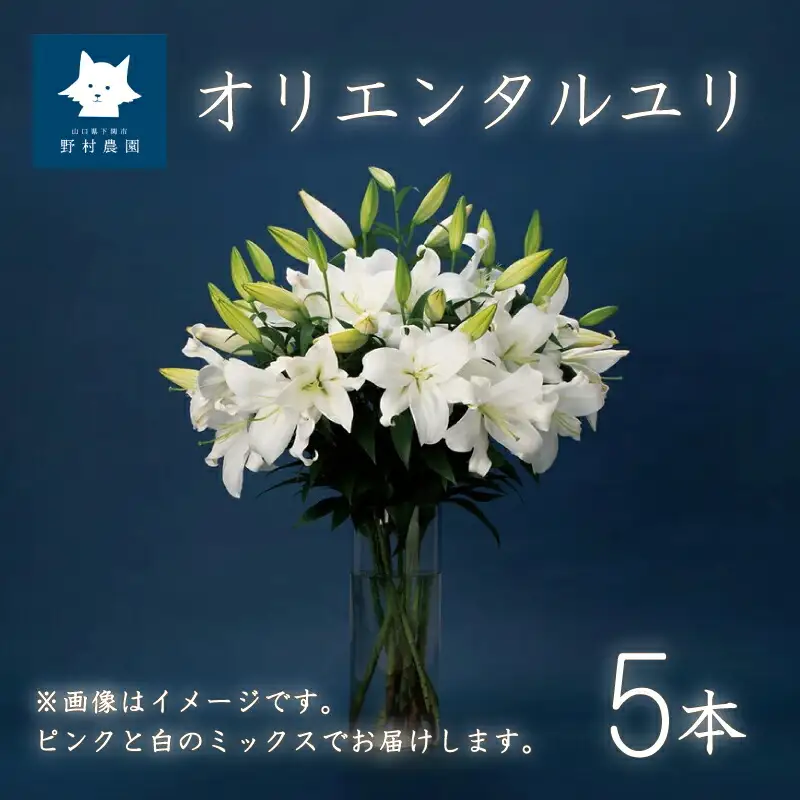 花 ゆり 5本 蕾 約20個 オリエンタルリリー 切り花 下関 山口 GJ001