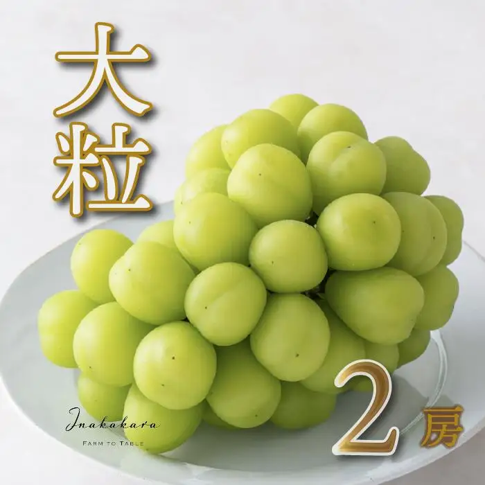 【2026年発送★先行予約】Inakakara　一宮の大粒シャインマスカット二房（約1.4kg） 192-011