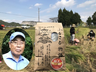 ≪令和8年産先行予約≫ ハツシモ 精米 10kg｜精米
