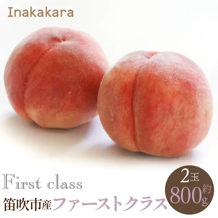 【2026年発送★先行予約】【笛吹市産】Inakakara　一宮町の桃 ファーストクラス(約800g) 192-008