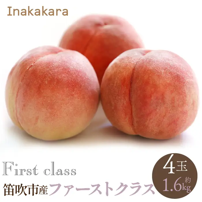 【2026年発送★先行予約】【笛吹市産】Inakakara  一宮町の桃 ファーストクラス 4玉(約1.6kg) 192-009