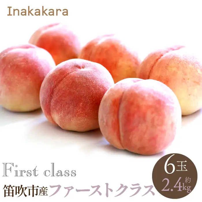 【2026年発送★先行予約】【笛吹市産】】Inakakara 一宮町の桃 ファーストクラス 6玉(約2.4kg) 192-010