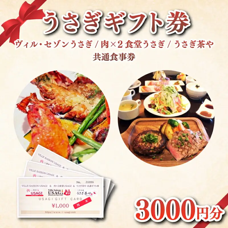 ウサギグループ 食事 券 ギフト 3,000円分 うさぎ 肉バル フレンチ レストラン ランチ 下関 山口 GC001