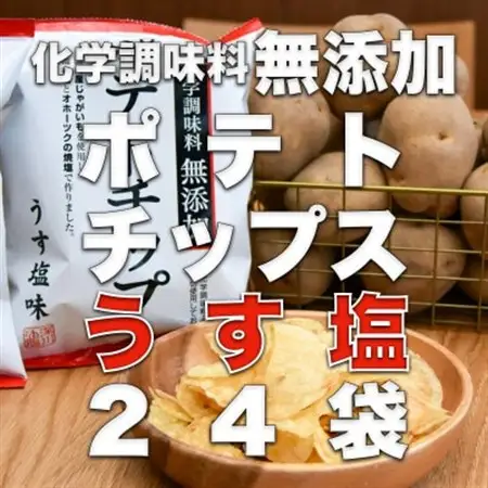 化学調味料無添加ポテトチップス　うす塩(60g×24袋)【1380789】